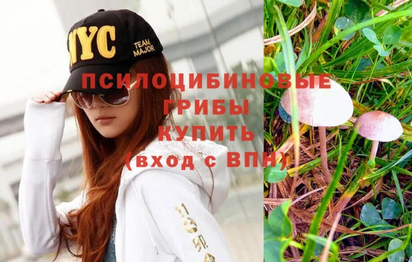 эйфоретик Армянск
