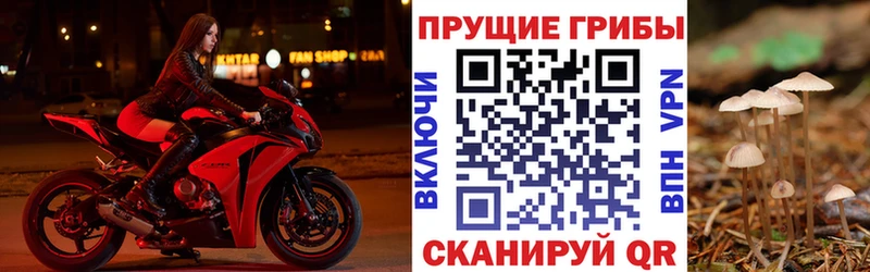 Галлюциногенные грибы мухоморы Порхов